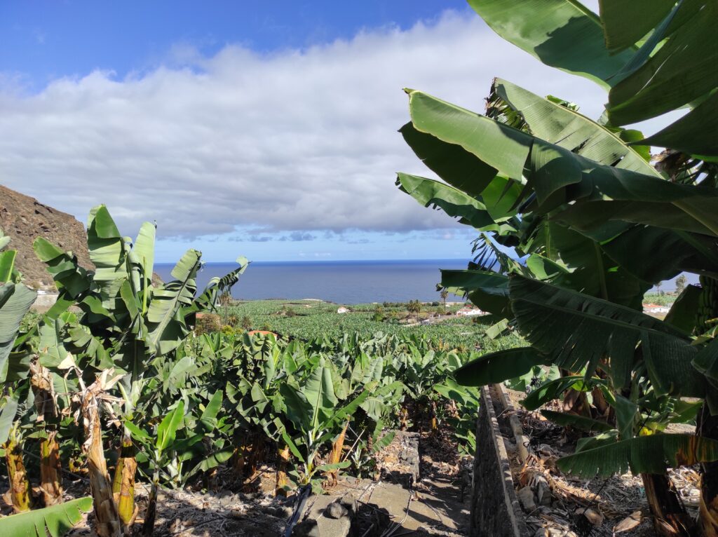 Ayudas agroambientales