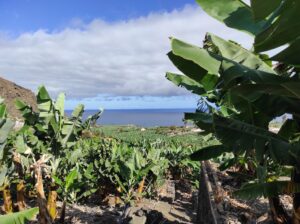 Ayudas agroambientales